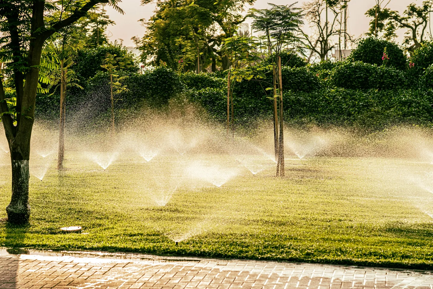 Smart Irrigation Systems: Automated Watering with Weather Integration