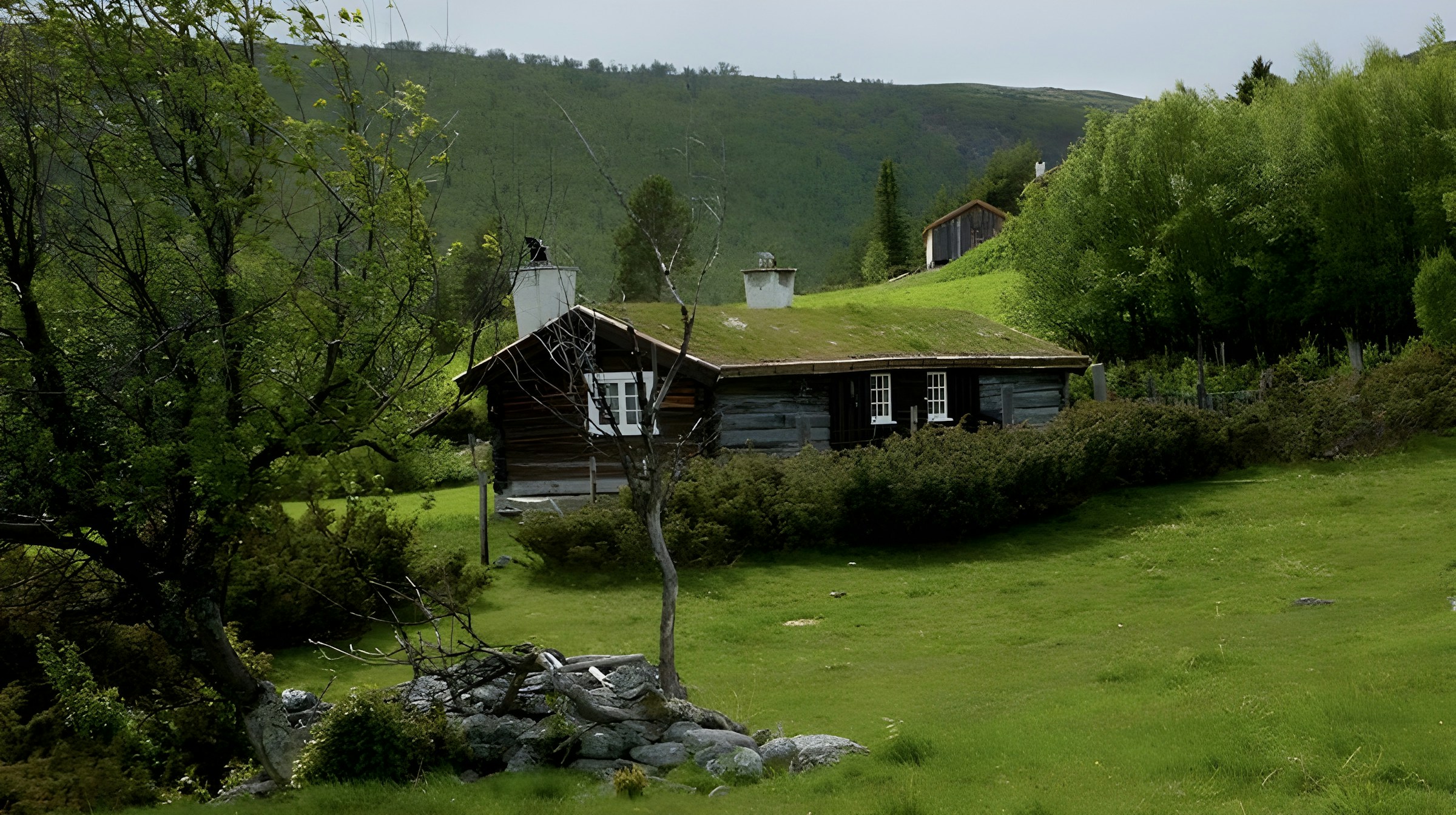 Self-Building in Rural Scotland: A Practical Guide by RuralFinds.net
