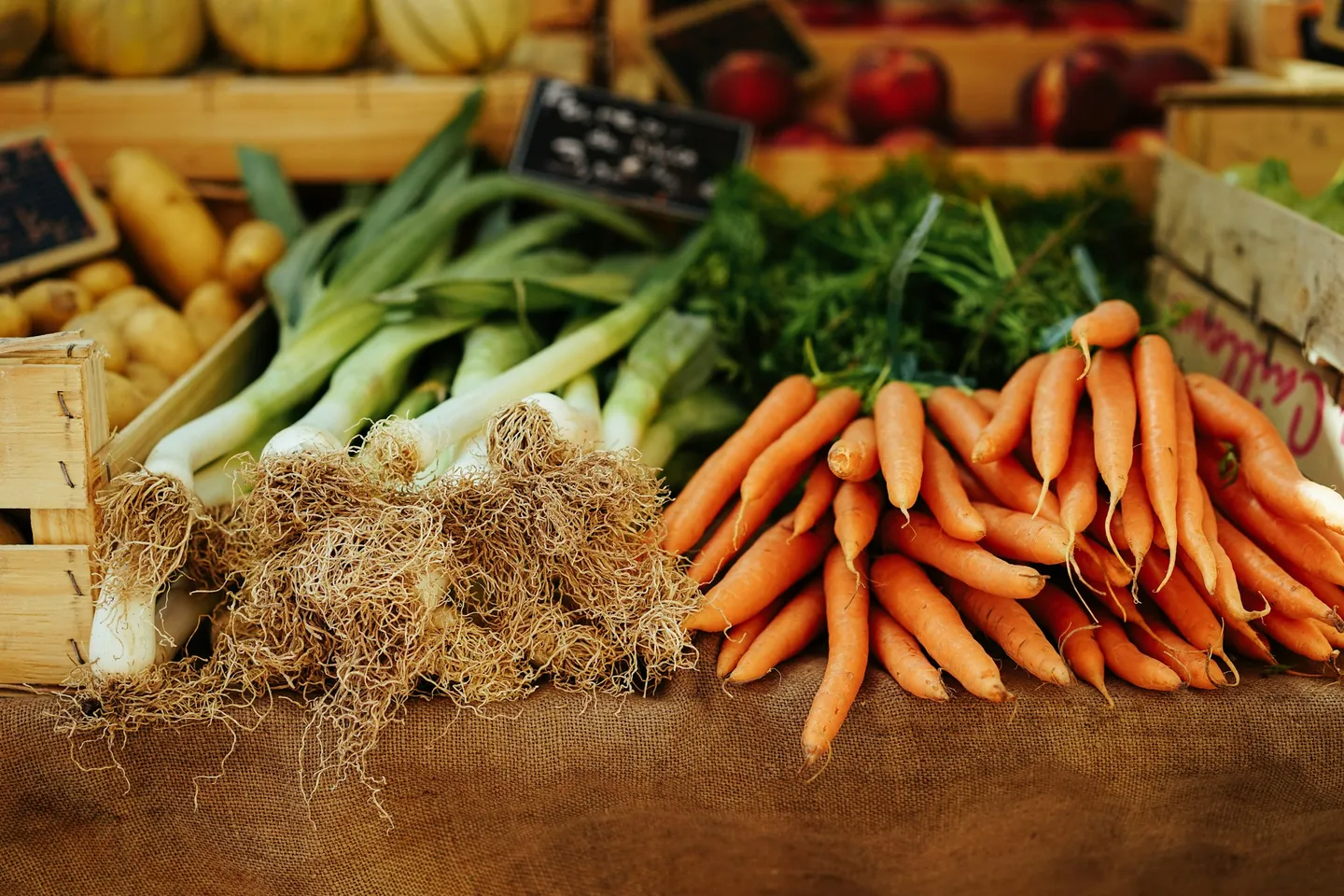 Value-Added Agriculture: Processing Raw Products for Higher Profits