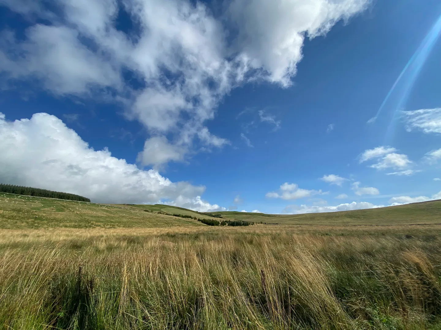 Scottish Government Awards £95 Million Digital Support Contract to Transform Rural Economy