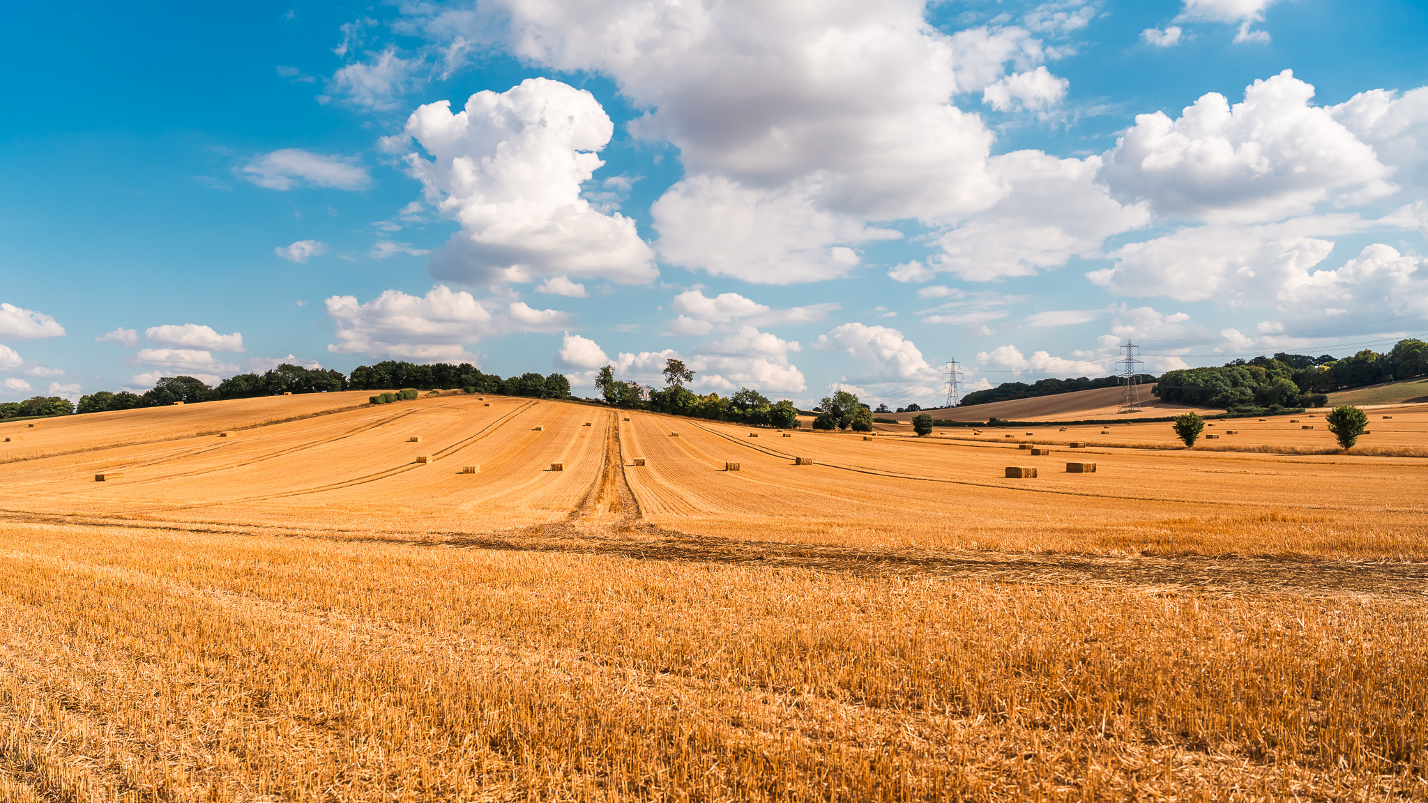 Breathe Deep, Live Fully - The Health Benefits of Rural Nature by ...