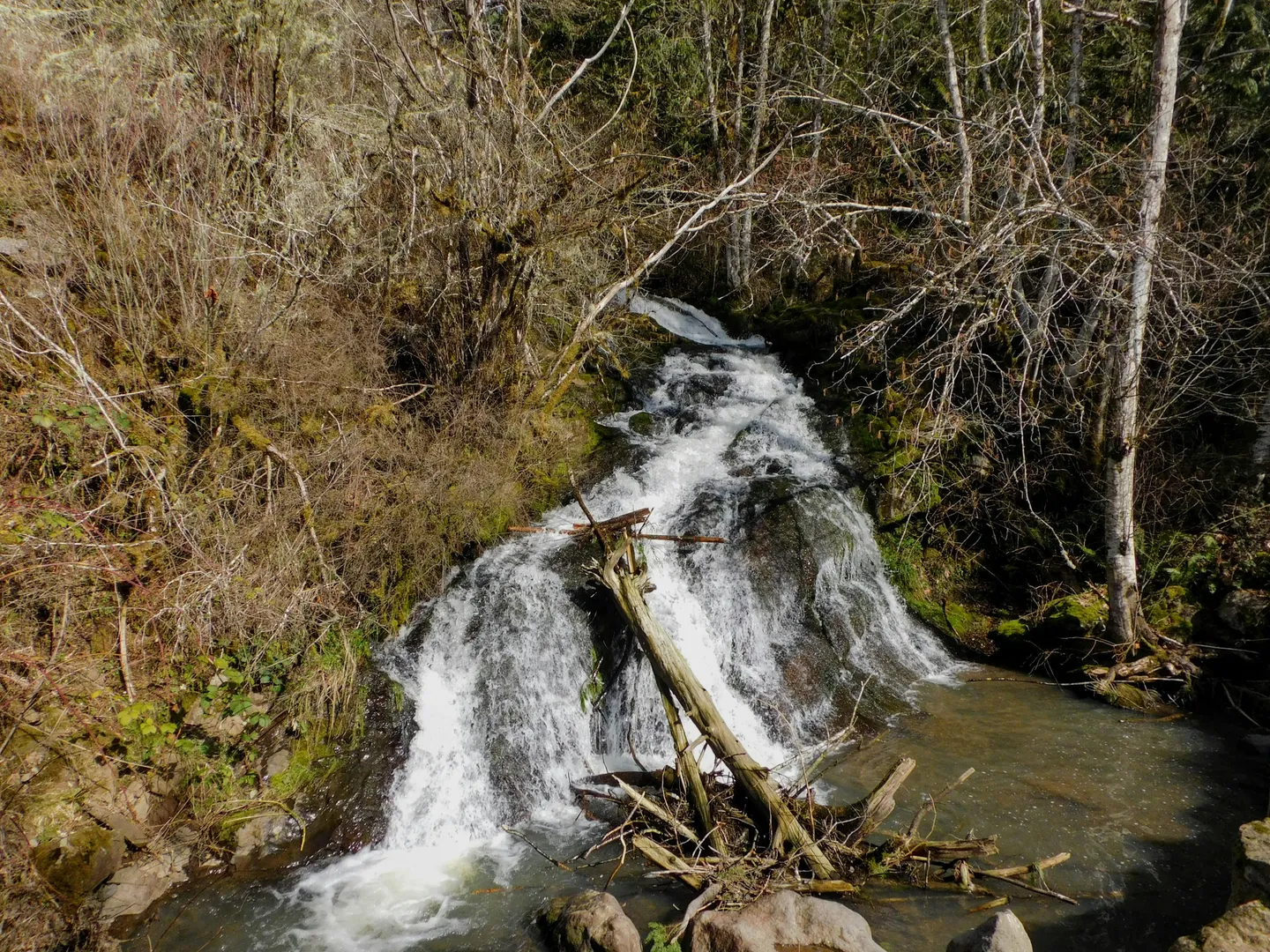 Spring Water Collection and Management for UK Rural Properties