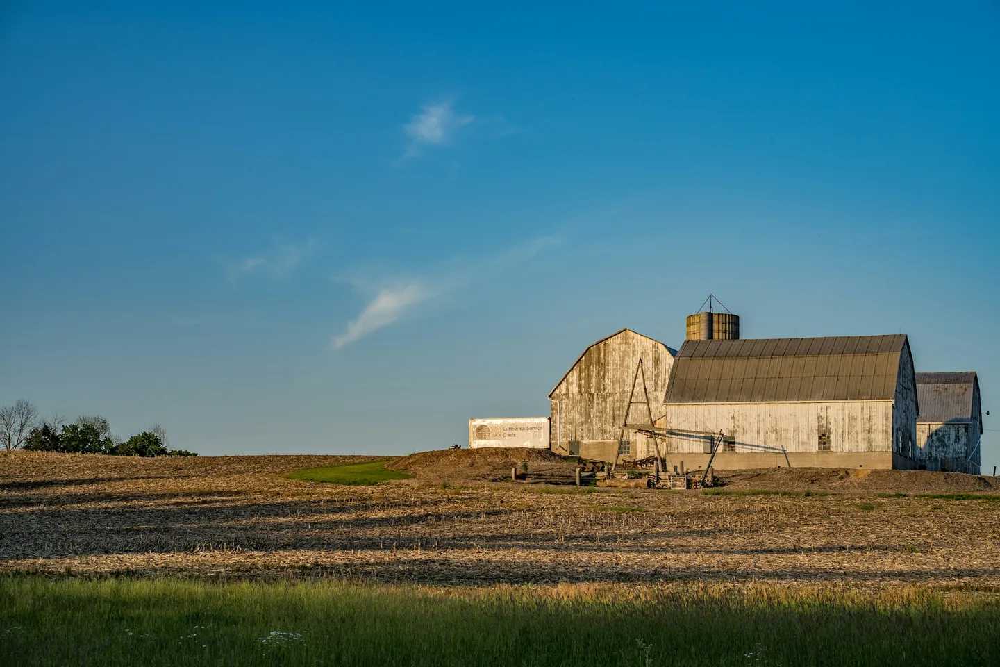 Mesh Wi-Fi Networks for Large Rural Properties: Complete Coverage Solutions