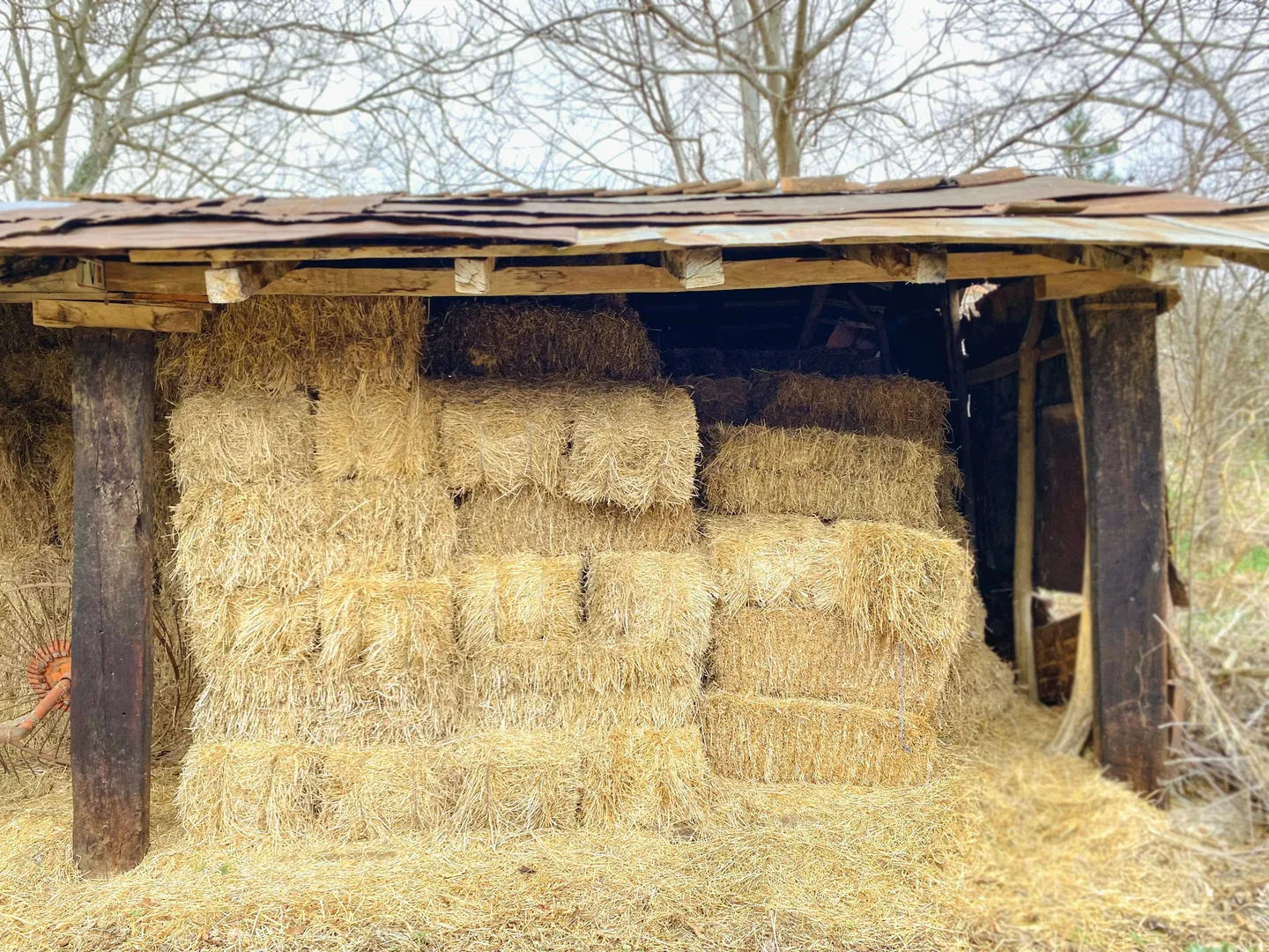 Building with Local Materials: A UK Landowner's Guide