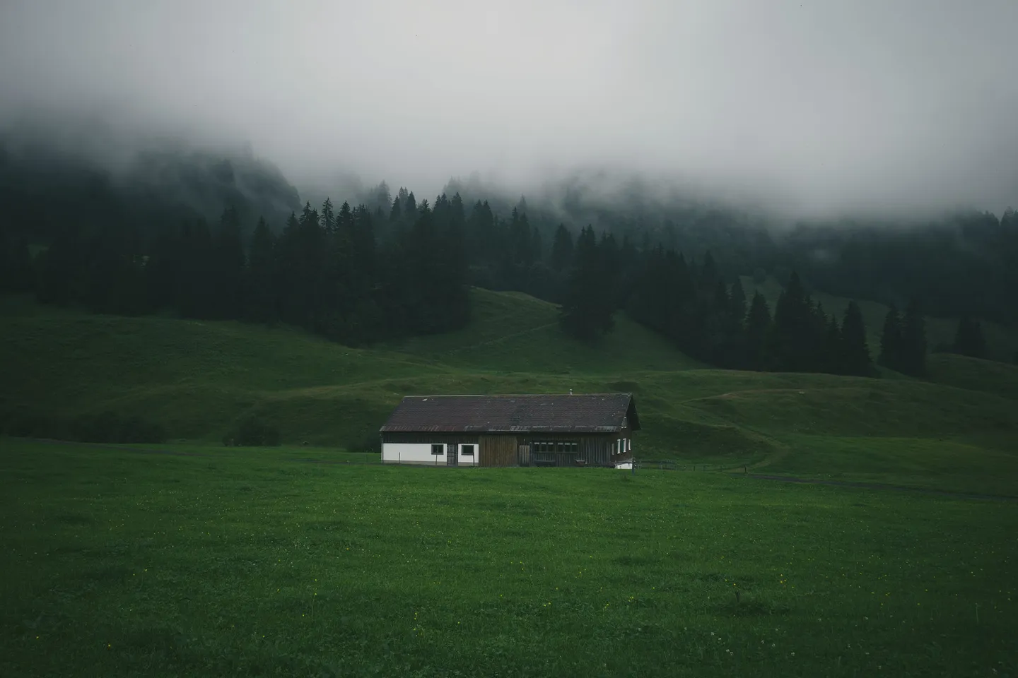 An Ultimate Guide to Starting a Rural Agritourism Business