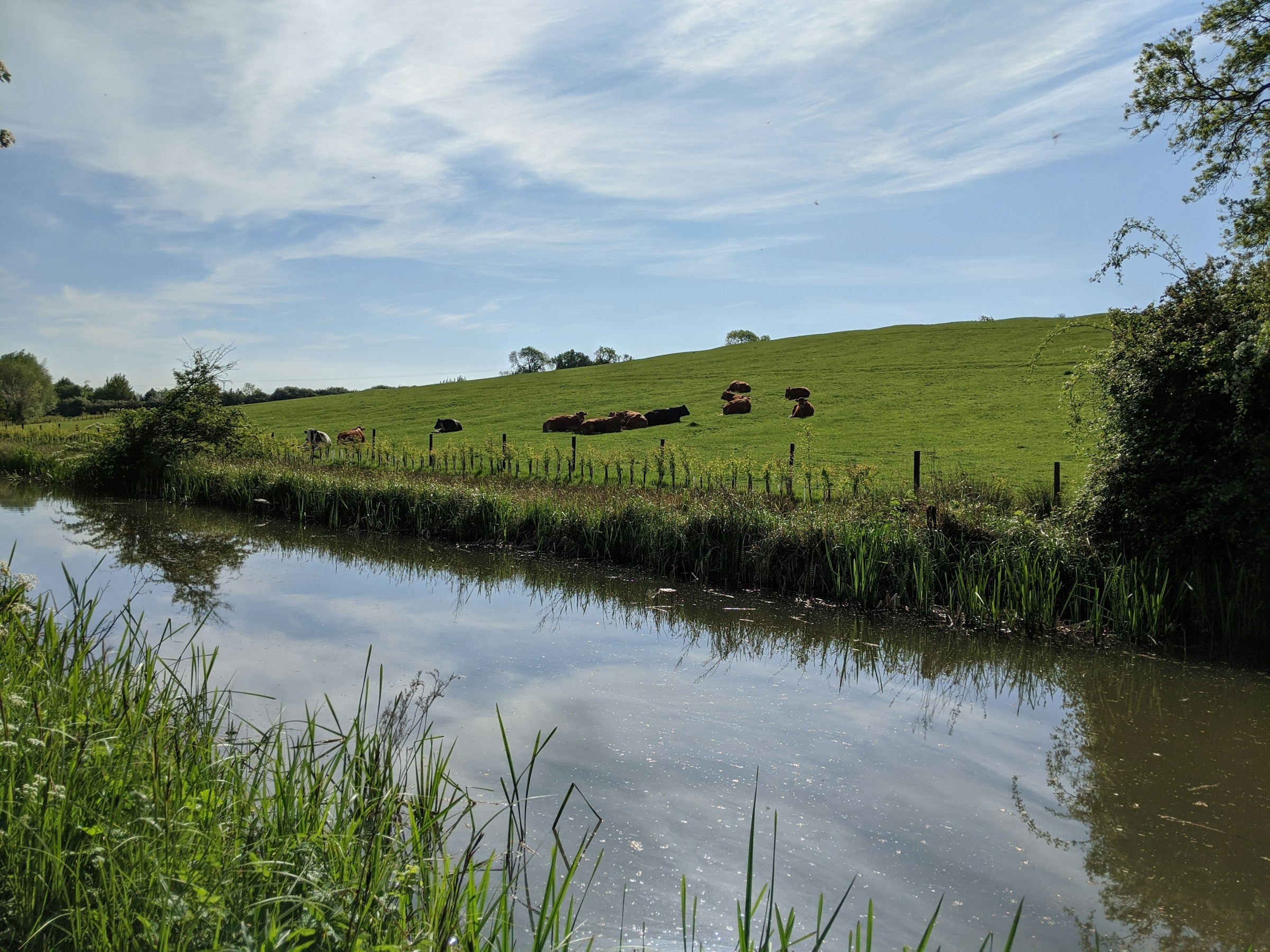 Managing Rural Water Systems During Peak Summer Demand by RuralFinds.net