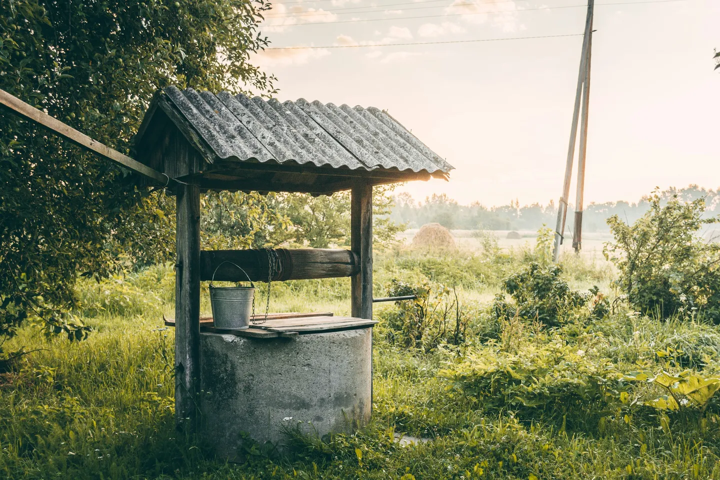 Well Water vs Mains Water: A UK Rural Property Guide