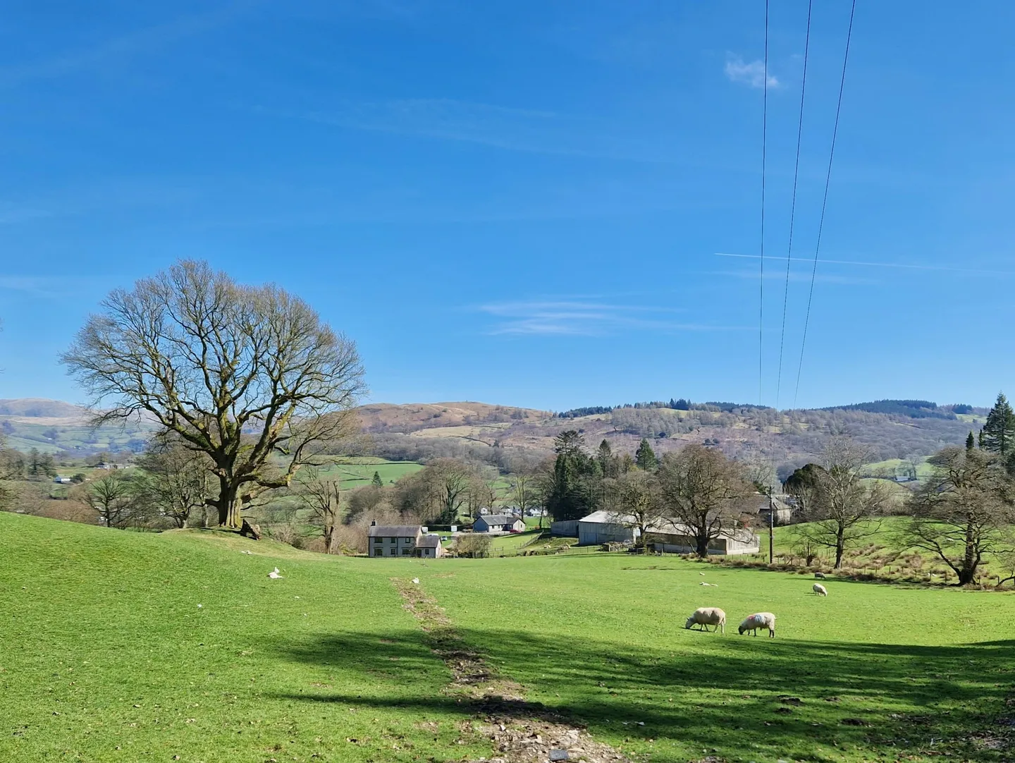 Agricultural Tax Exemptions: Maximizing Rural Property Benefits in the UK