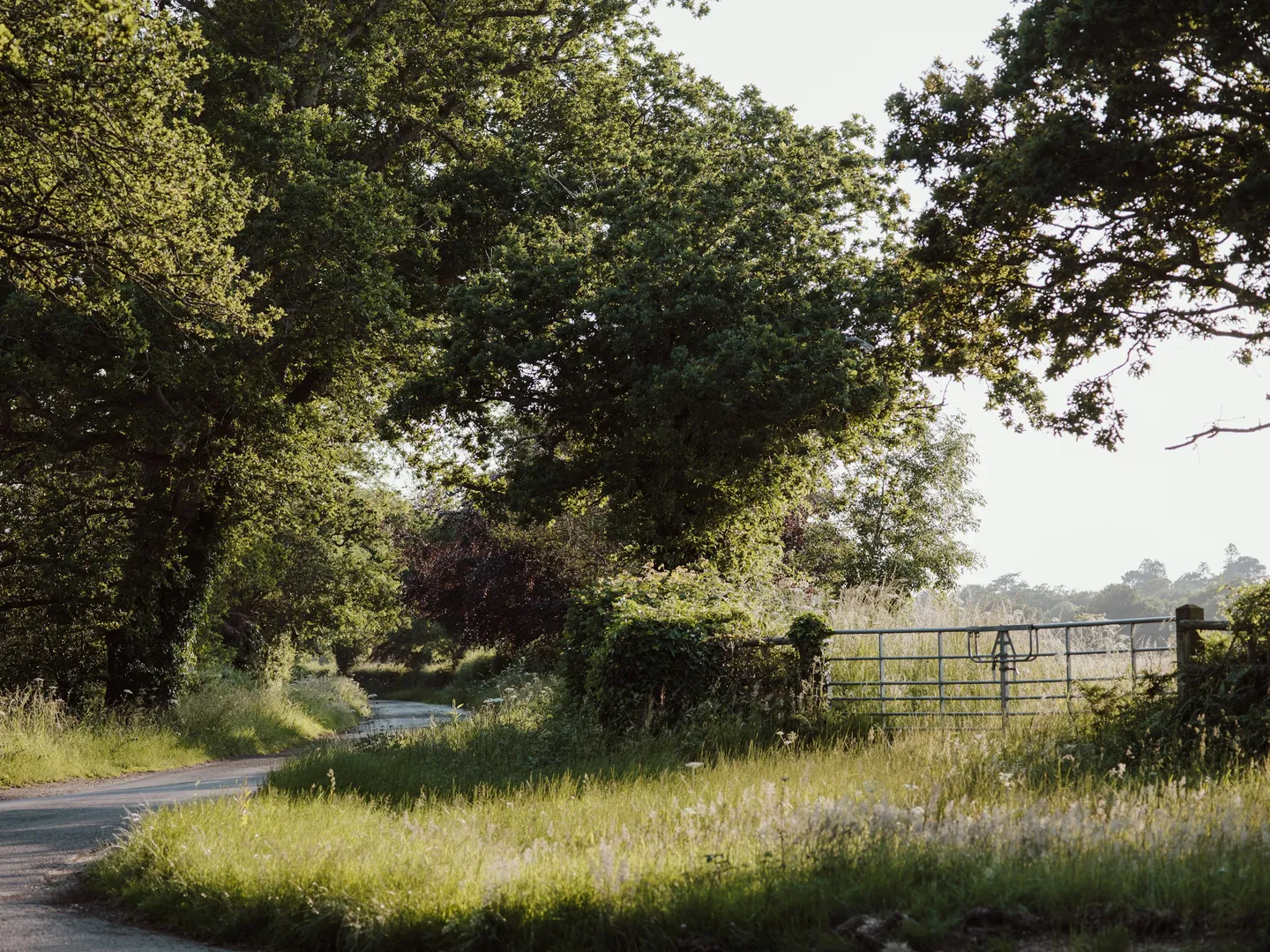 Managing Access Roads and Private Drives: Legal Responsibilities in the UK