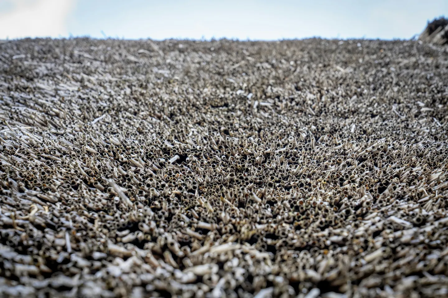 Natural and Eco-Friendly Insulation for UK Rural Properties