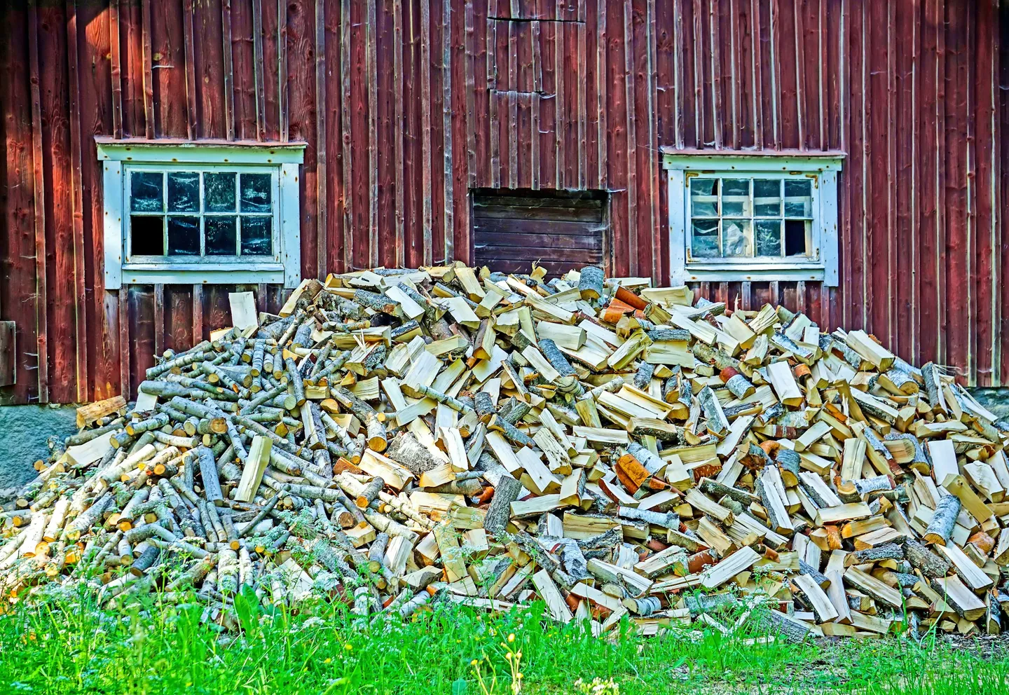 Biomass Boiler Systems: Installation and Running Costs