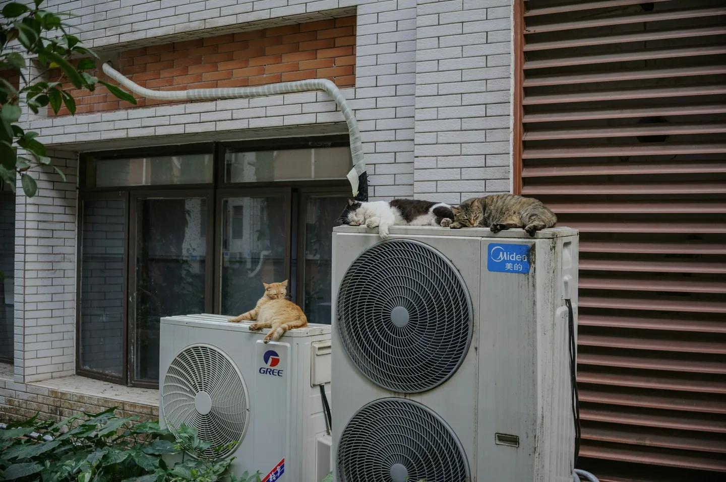 Heat Pumps in Rural UK Properties: A 2025 Implementation Guide