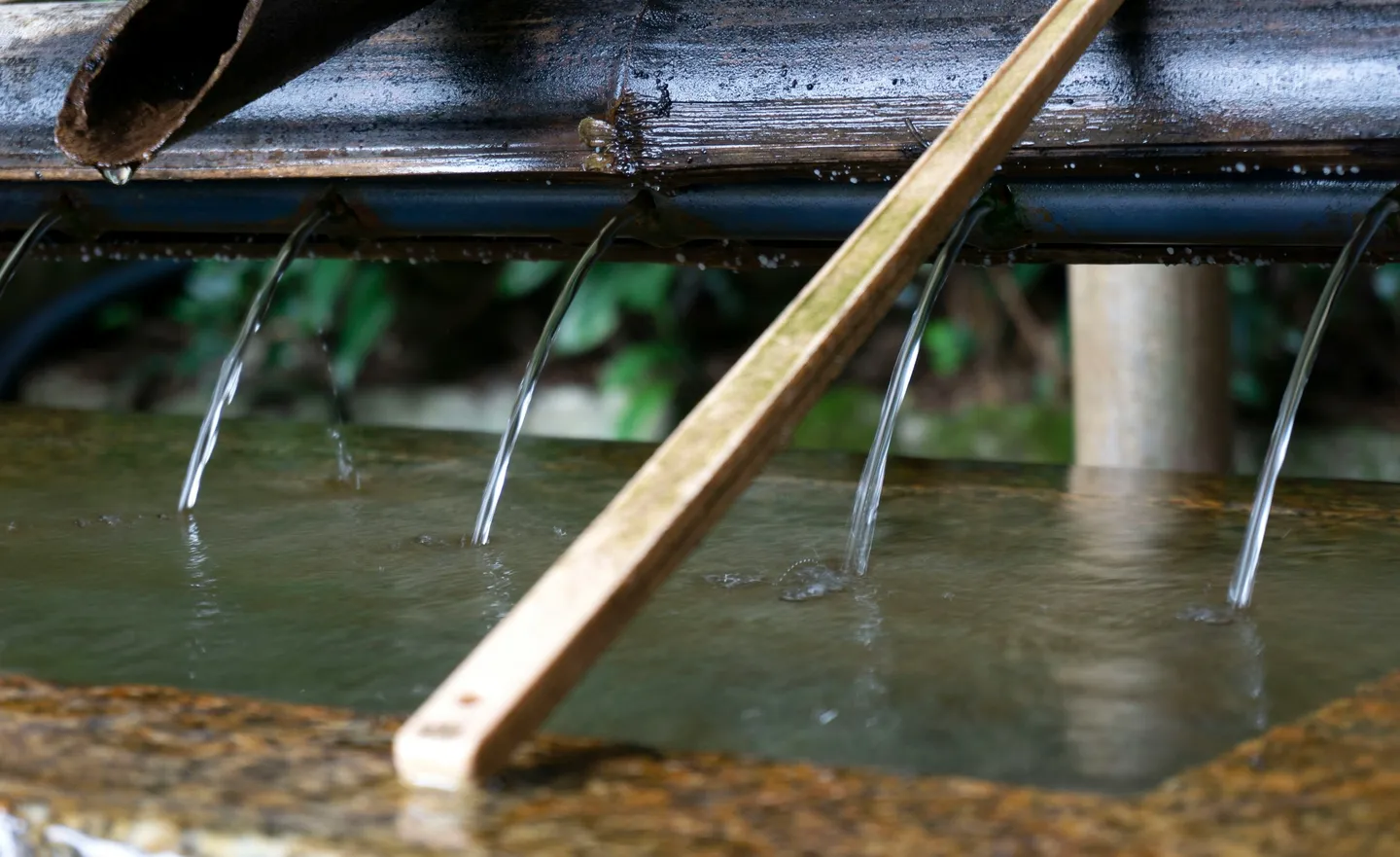 Greywater Recycling for UK Rural Homes