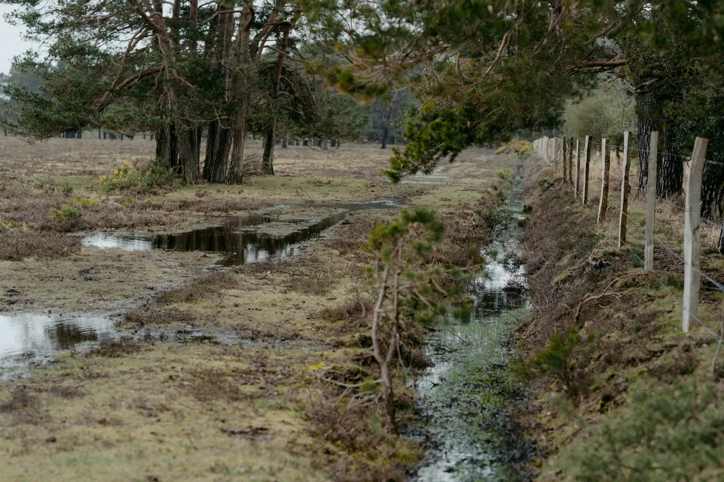 Septic Systems in the UK: Installation, Maintenance & Troubleshooting