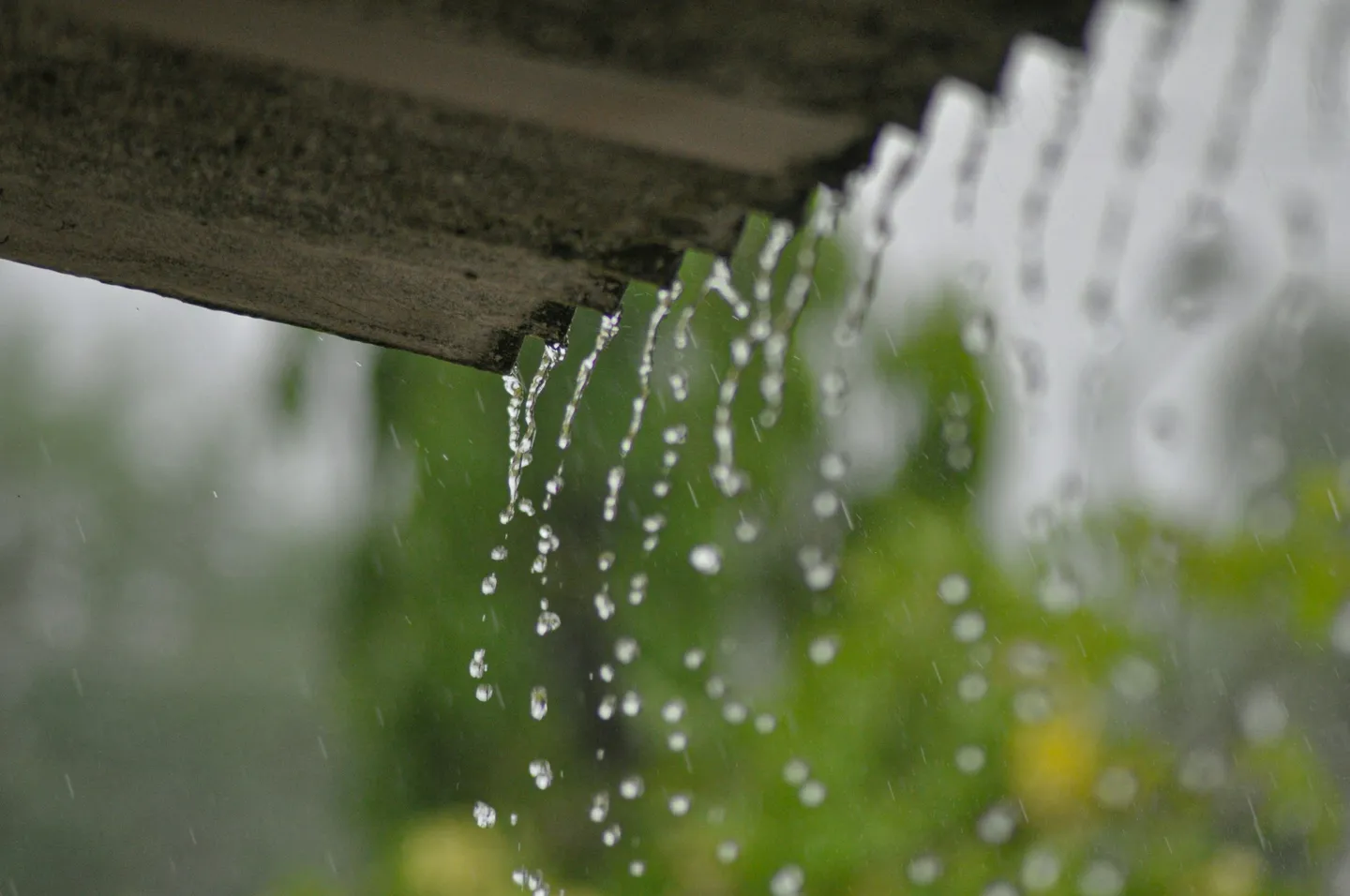 Rainwater Harvesting in the UK: Design, Installation, and Maintenance