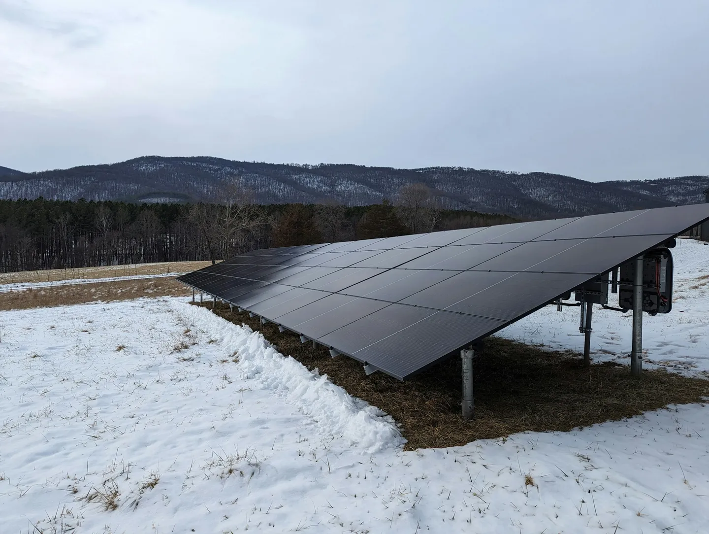 Solar Panel Performance in UK Cold Weather