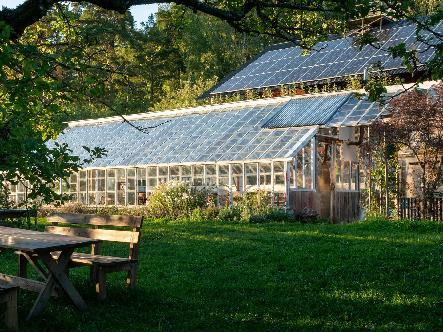 Backup Power Systems for UK Homes: Generators, Batteries, and Solar Storage