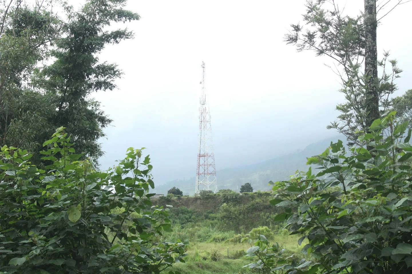 Ham Radio Networks: Emergency Communication for Rural Areas