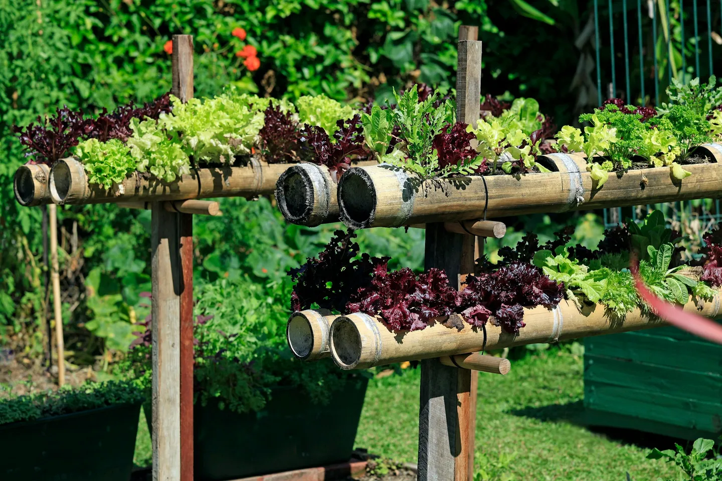 Vertical Farming Systems: Year-Round Rural Food Production