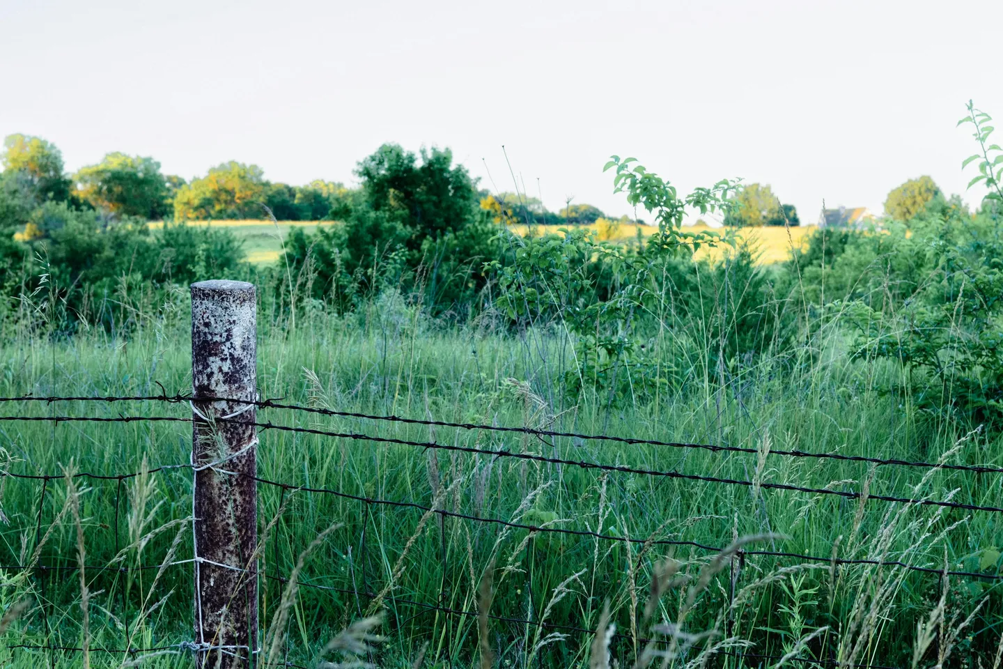 Rural Property Security: Beyond Alarm Systems