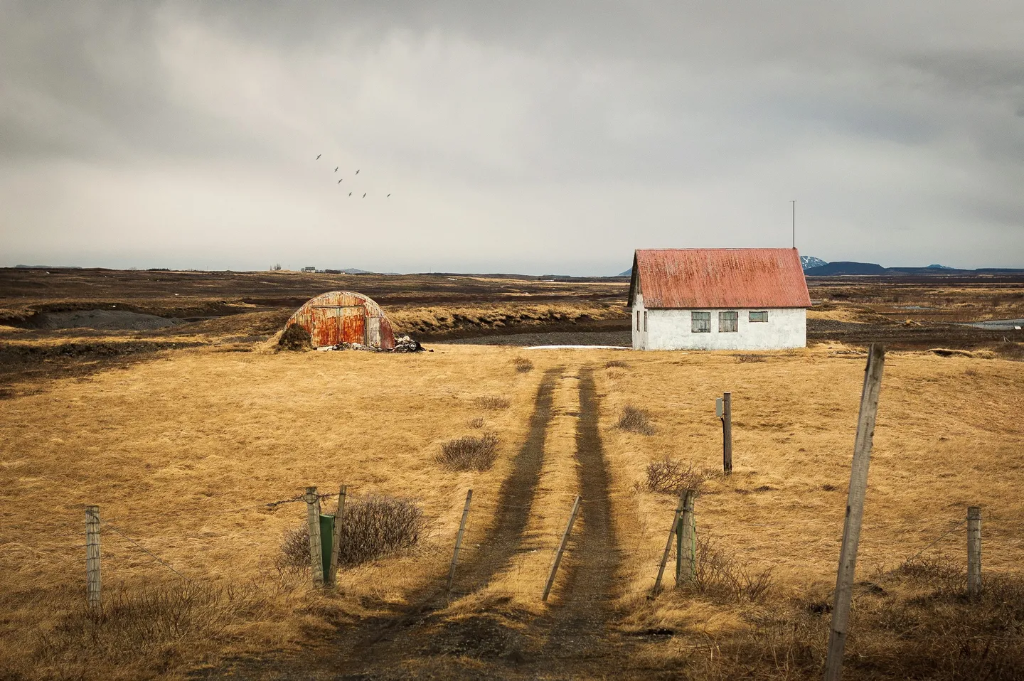 UK Government Expands Rural Broadband Access