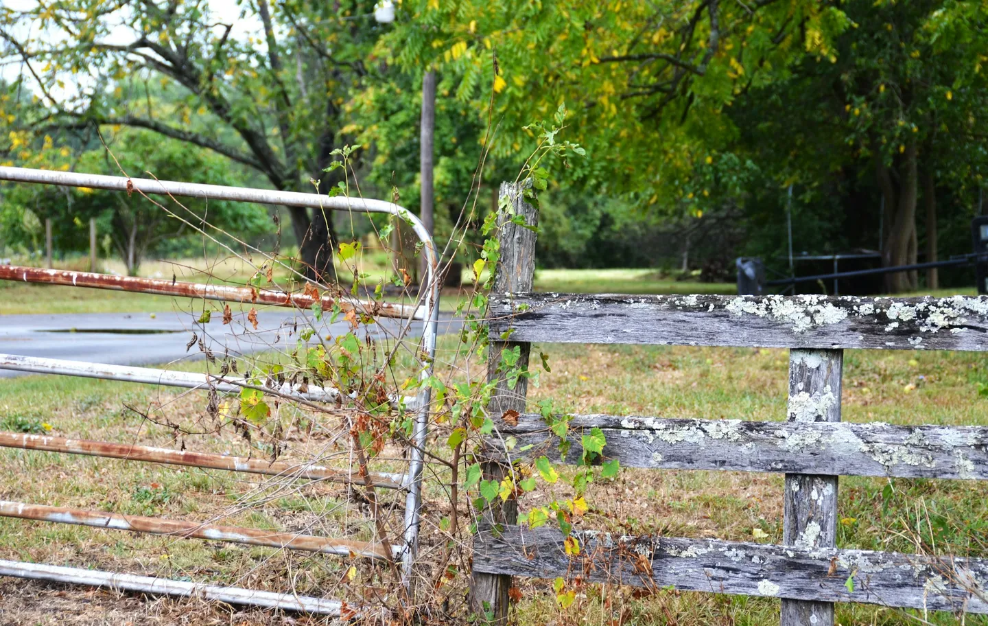 Land Registry Boundaries in Rural Areas: What Rural Property Owners Need to Know