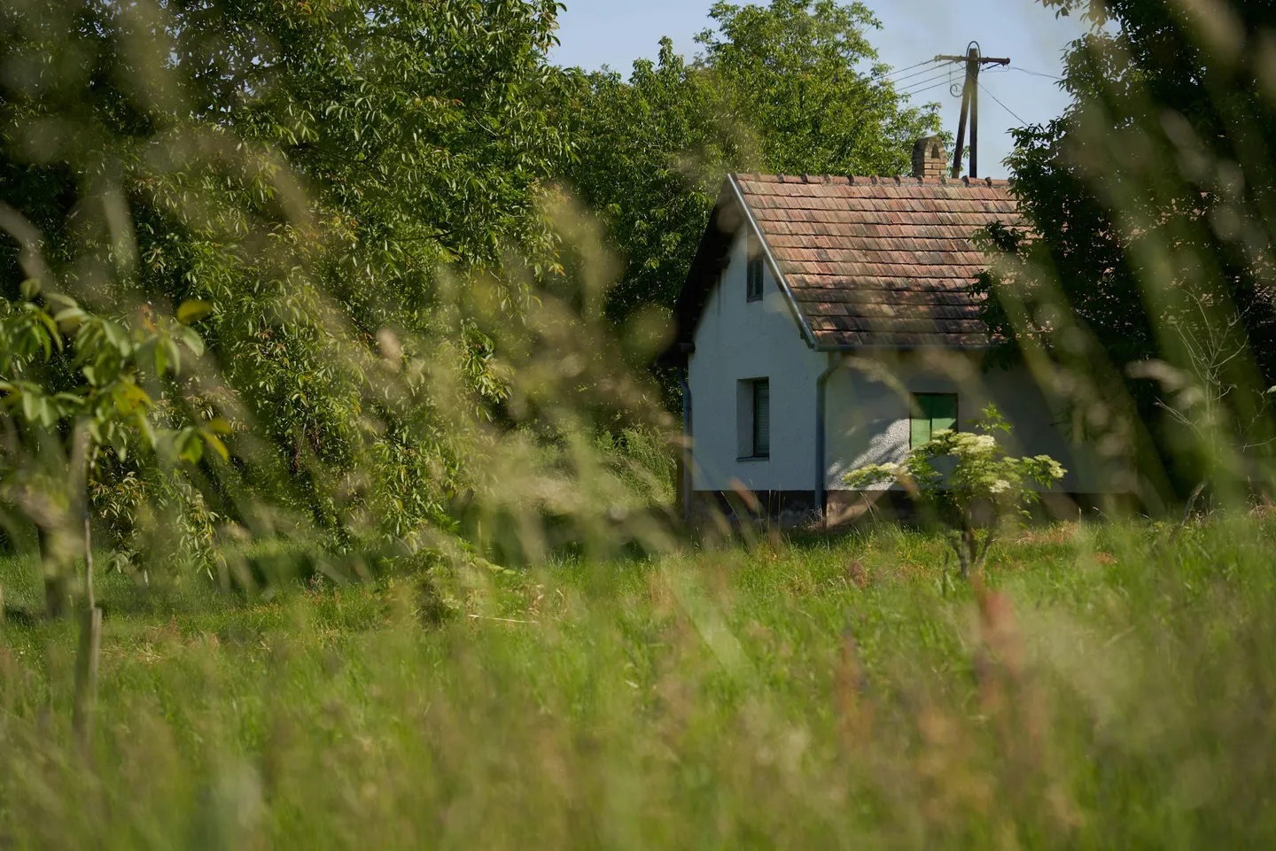 Rural Property Checklist: 50 Things to Evaluate Before You Buy