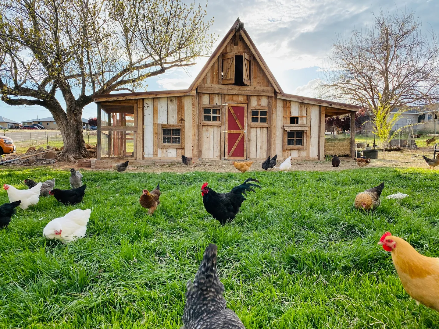 Automated Livestock Management: RFID Tracking and Health Monitoring