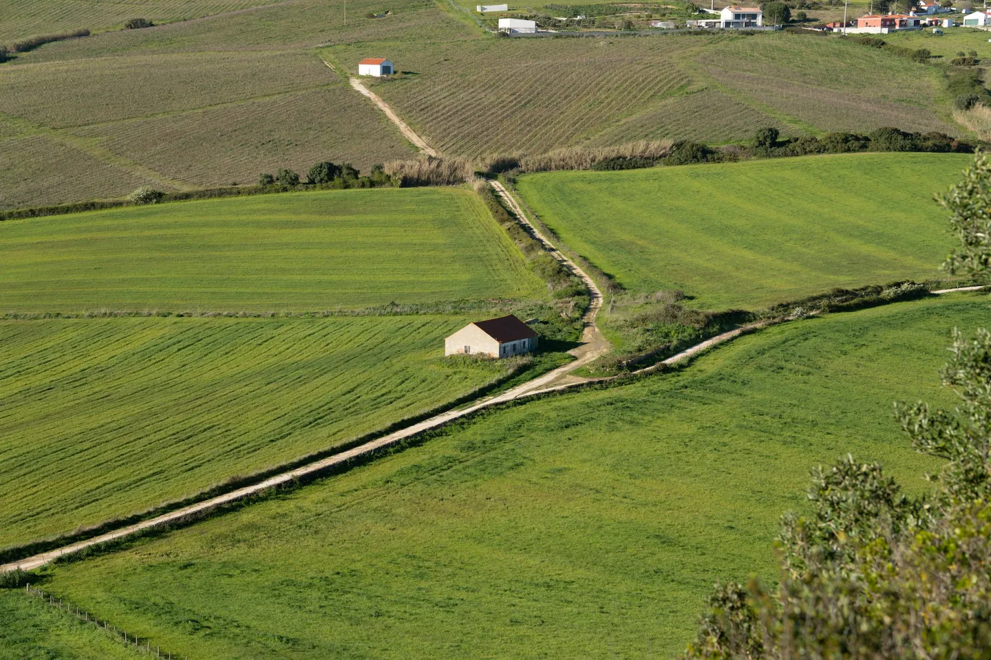 Understanding Rural Planning Law in the UK: A 2025 Comprehensive Guide