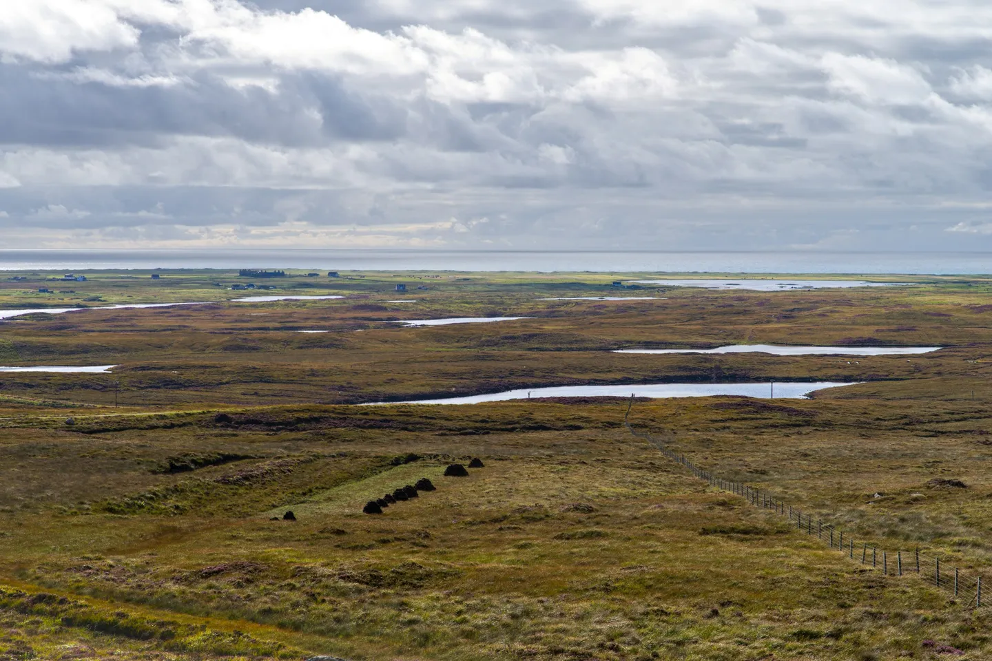 Carbon Sequestration: Rural Climate Action Strategies for the UK Landscape