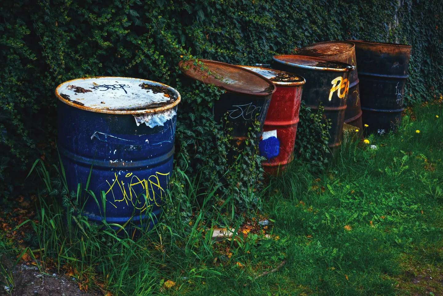 Composting Toilets: A Practical Guide for UK Off-Grid Properties